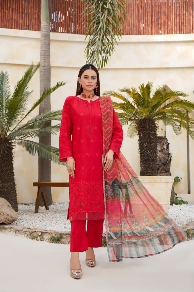 Red Embroidered and Printed Outfit