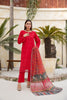 Red Embroidered and Printed Outfit
