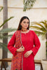 Red Embroidered and Printed Outfit