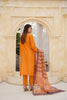 Mustard Embroidered and Printed Outfit