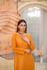 Mustard Embroidered and Printed Outfit