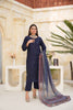Blue Embroidered and Printed Outfit
