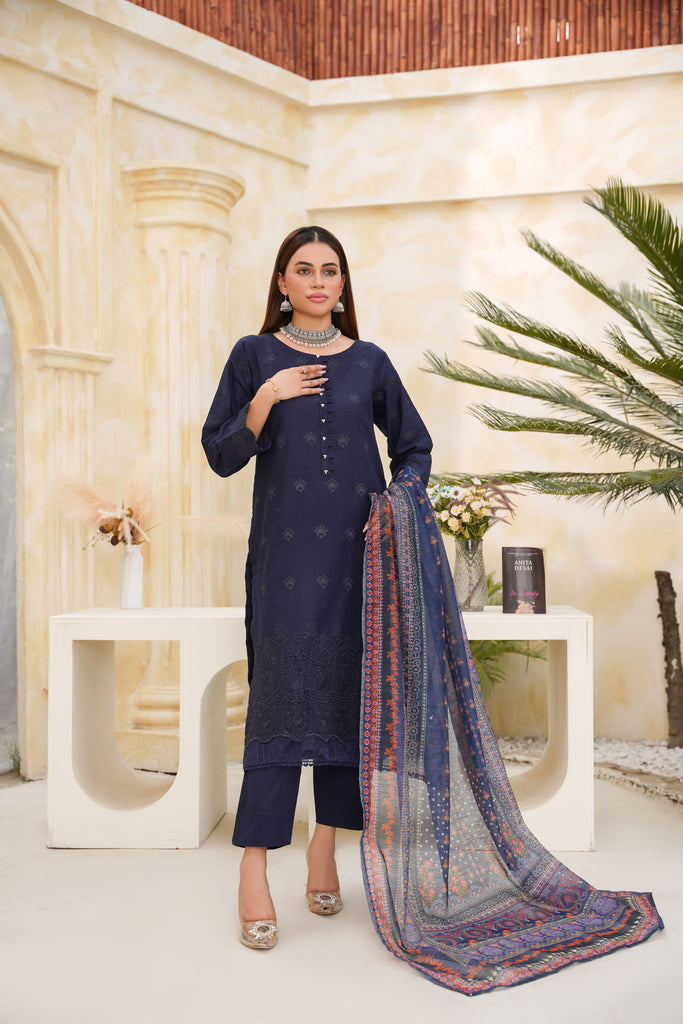 Blue Embroidered and Printed Outfit