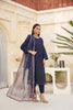 Blue Embroidered and Printed Outfit