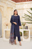 Blue Embroidered and Printed Outfit