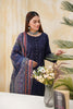 Blue Embroidered and Printed Outfit