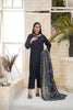 Black Embroidered and Printed Outfit