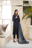 Black Embroidered and Printed Outfit